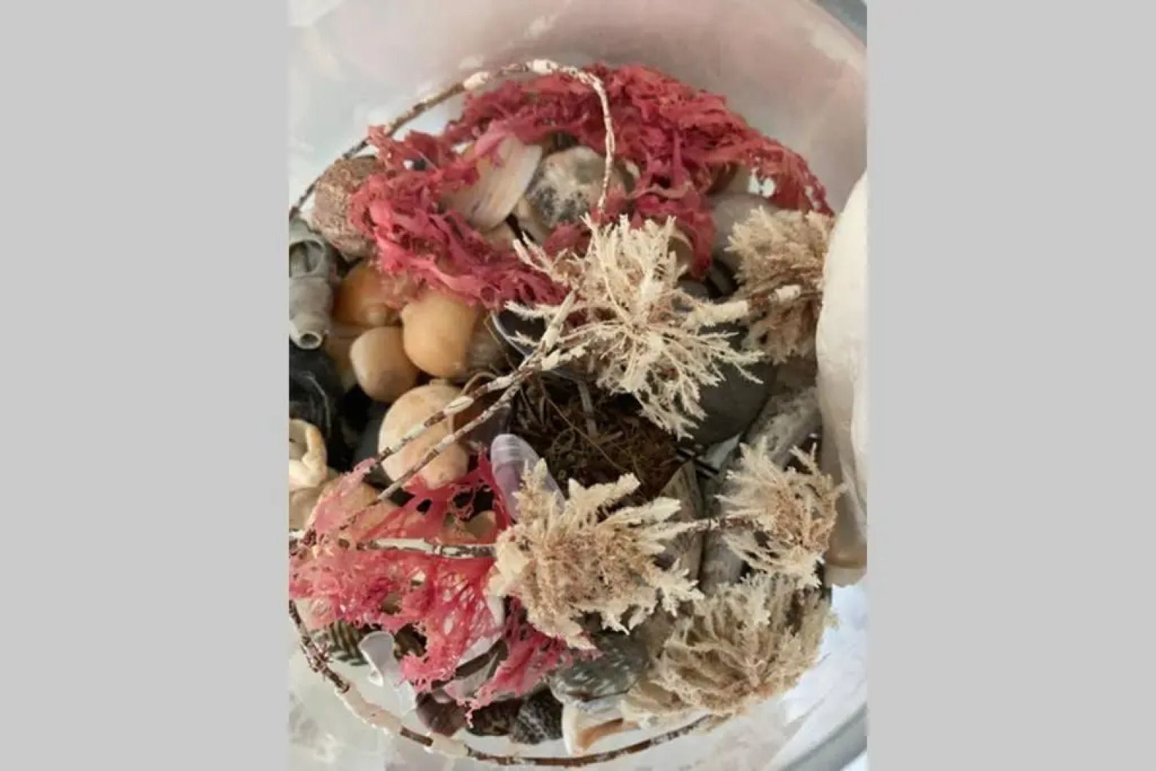 Sea-renity central to Port Elliot