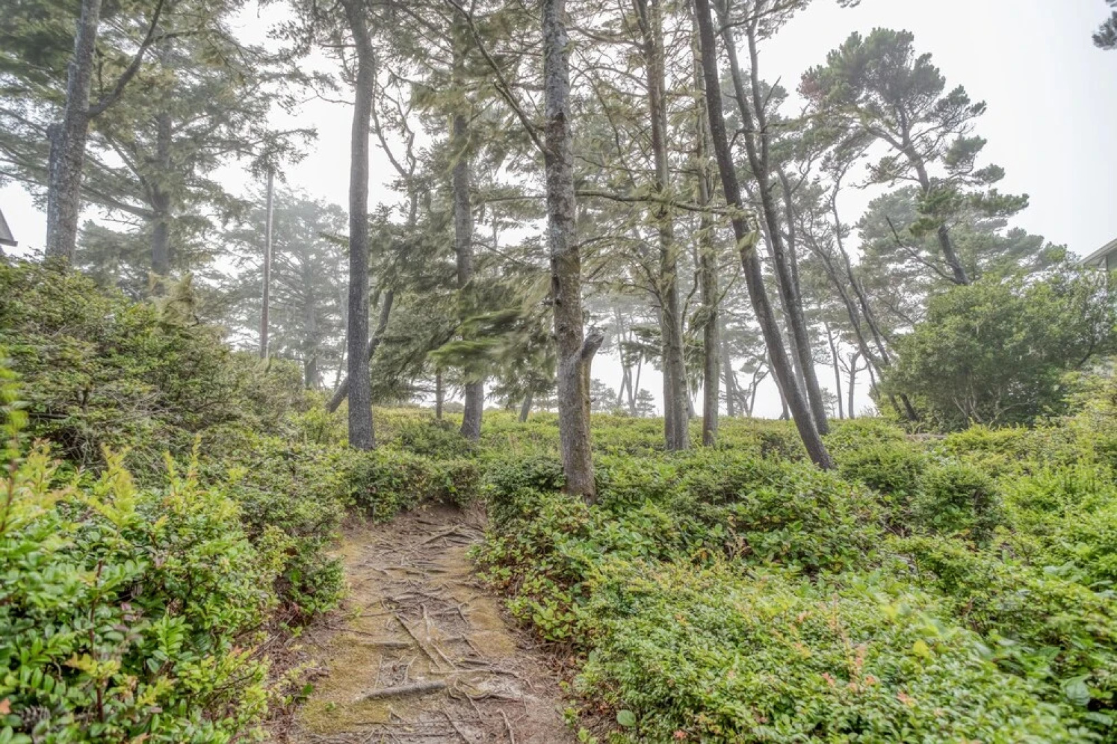 Baywood Shores Bed & Breakfast