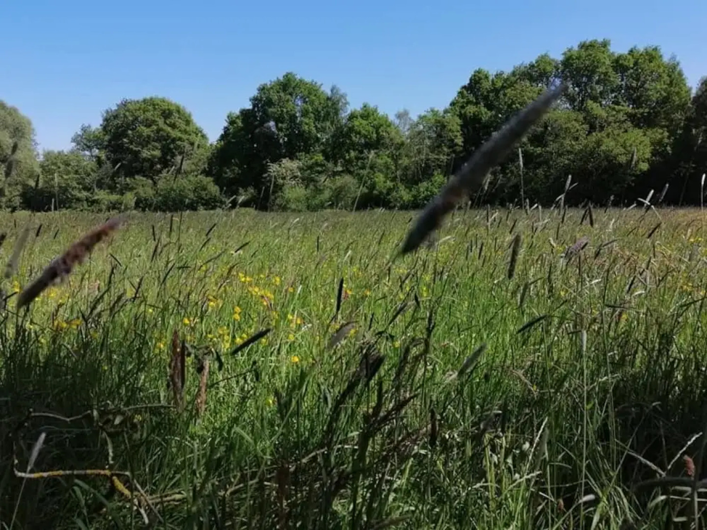 Les Gîtes d'Apothecarius