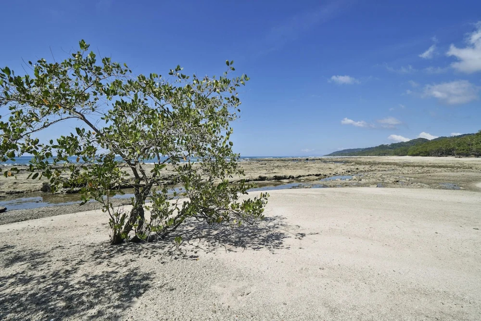 Paradise Beach Lodge