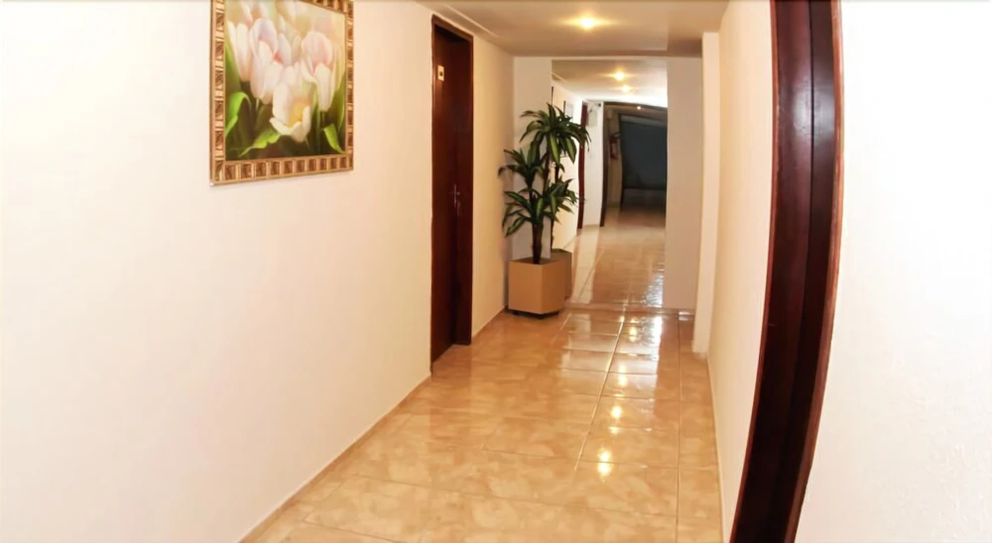 Hotel Joinvillense