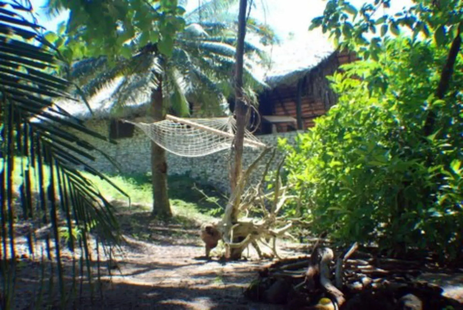 Tranquility Island Resort