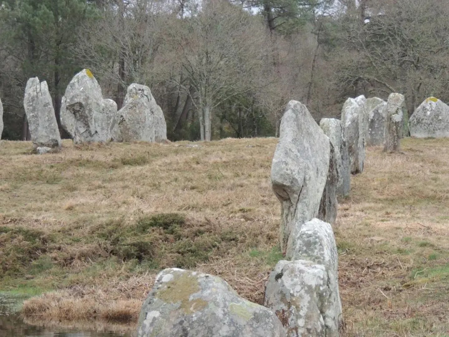 Appartement 1 er Etage , St Goustan Port Auray