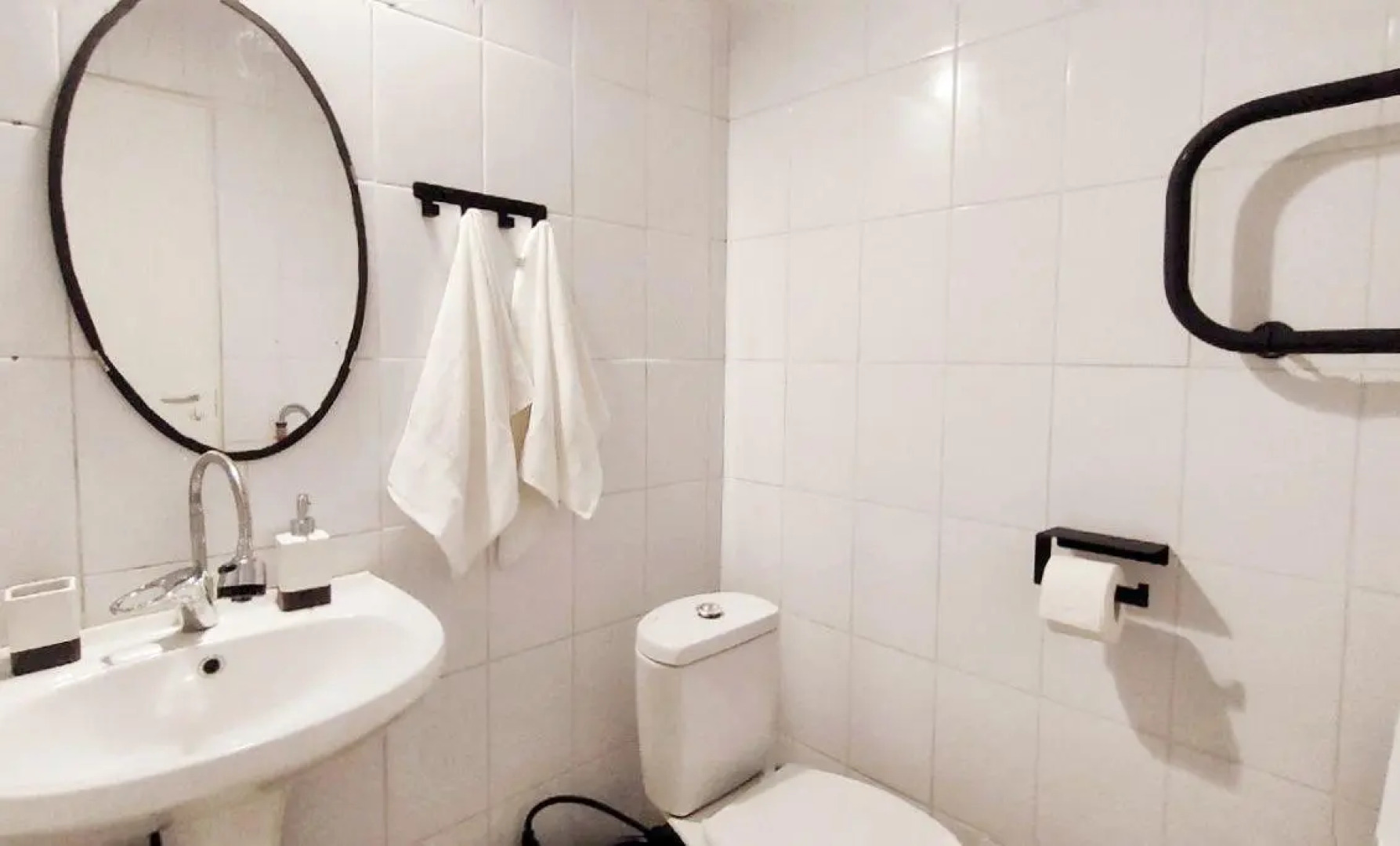 Солнечный эвкалипт на улице Крылова