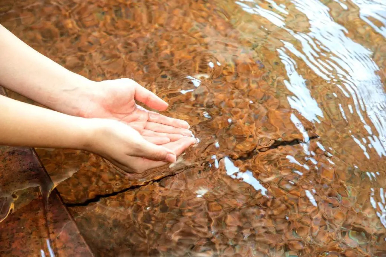 Lectore Atami Koarashi (TKP Hotels & Resorts)