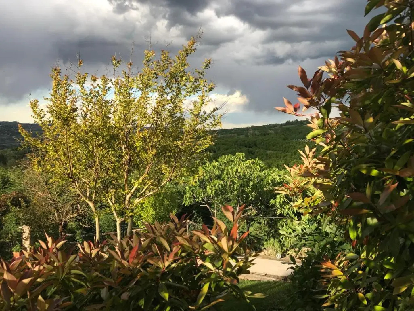 Villa Bricco Dei Cogni