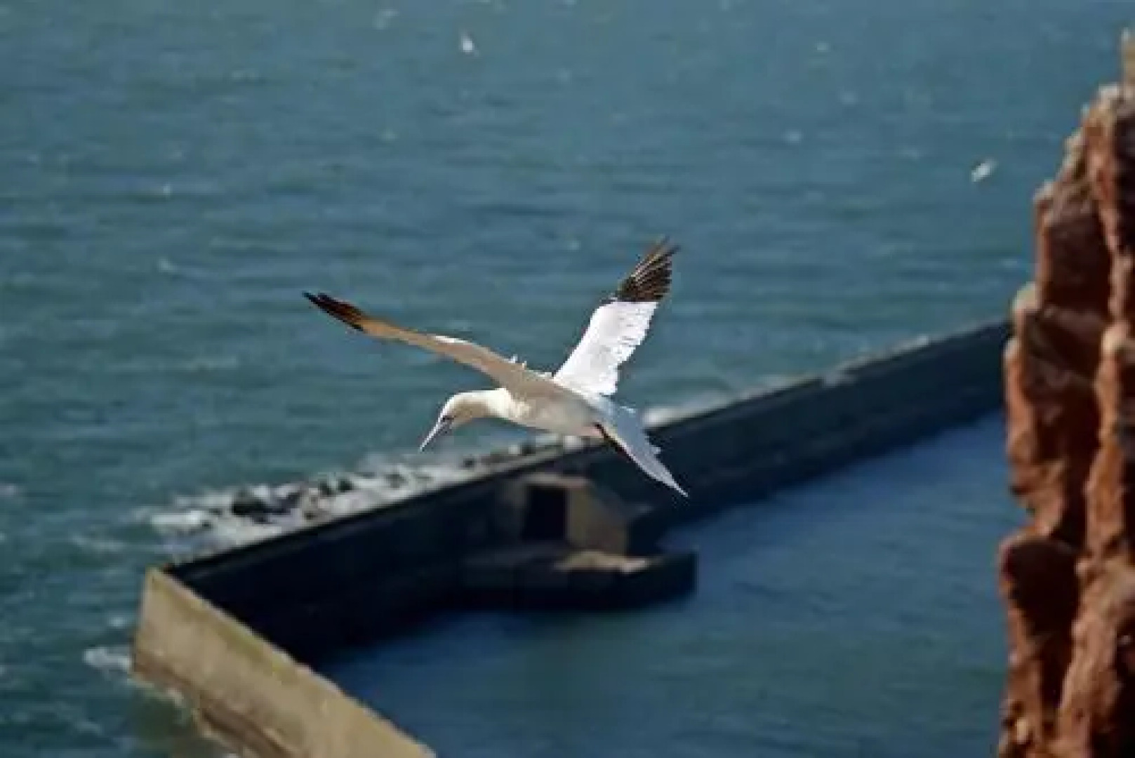 Hotel Quisisana & Appartements Quisi