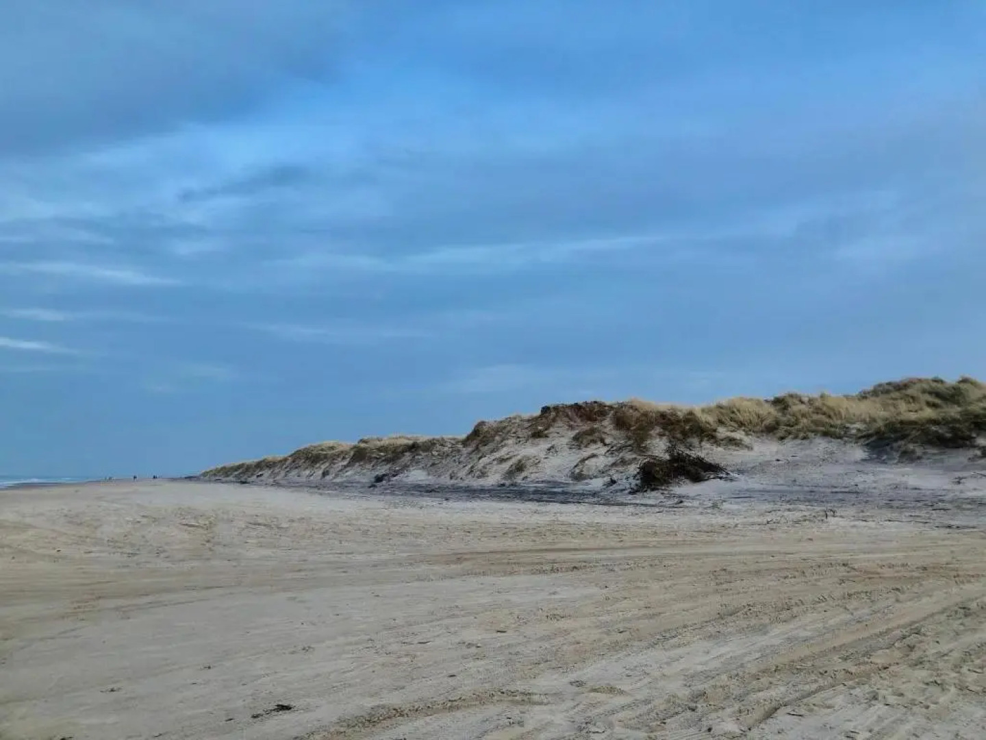 Den Skaldede Kok Guesthouse