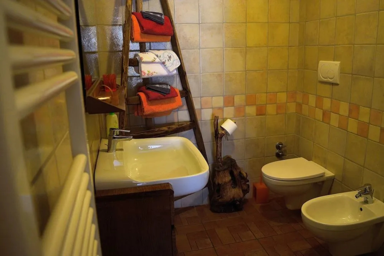 B&B Animali Selvaggi