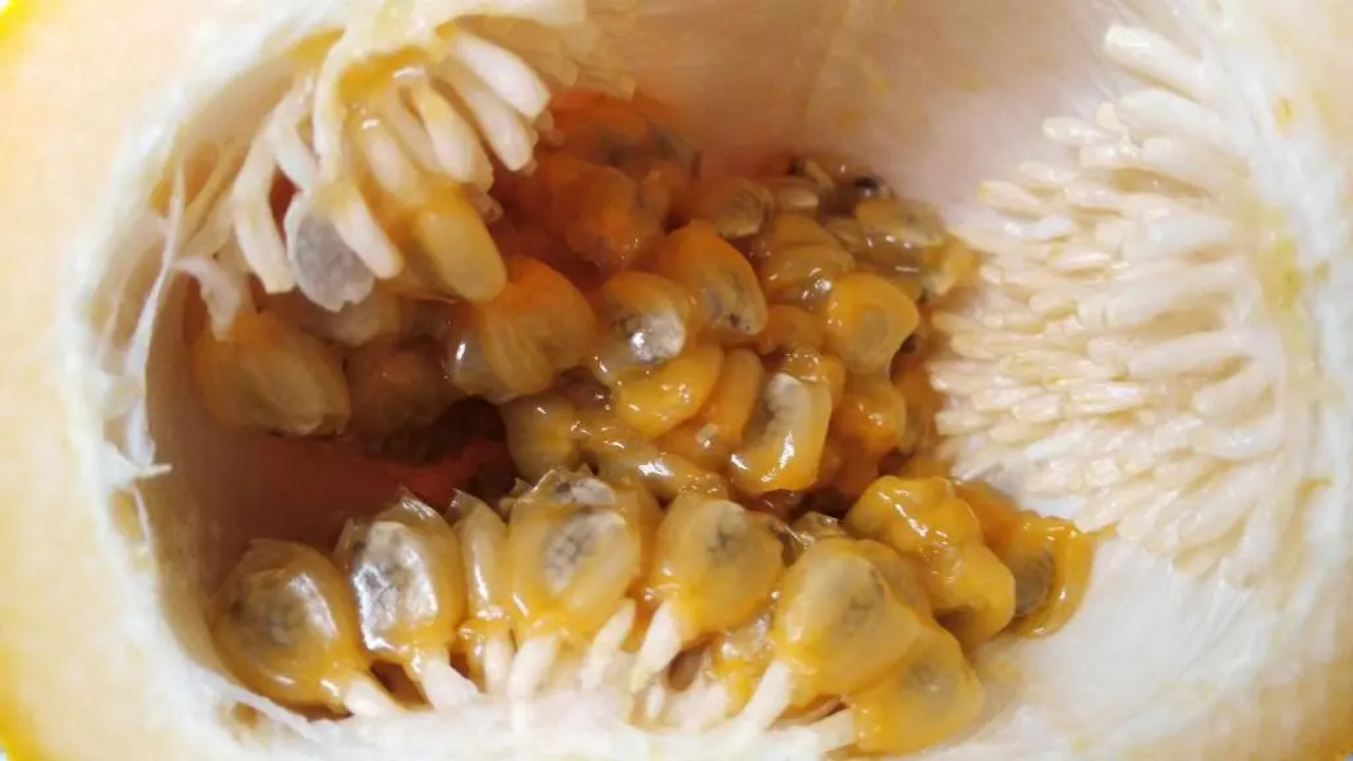 Hotel Kantarrana Urbana Jardin