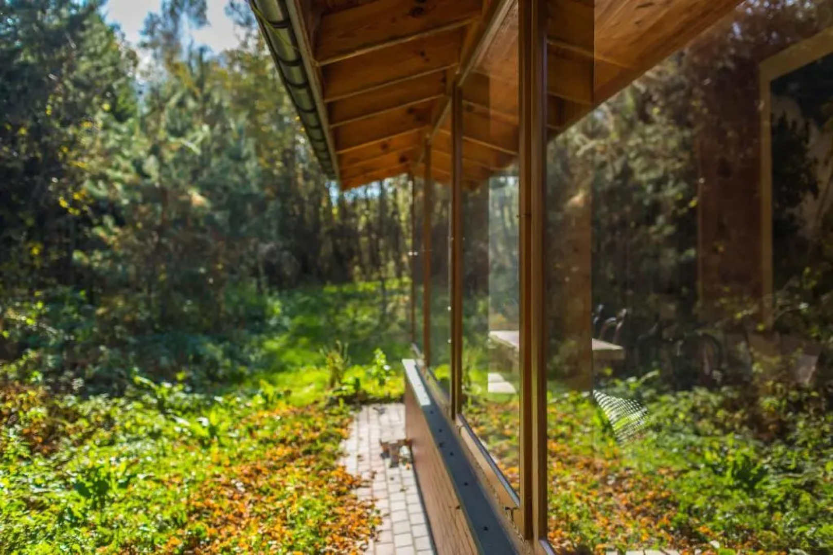 Wypoczynek pod Lipą