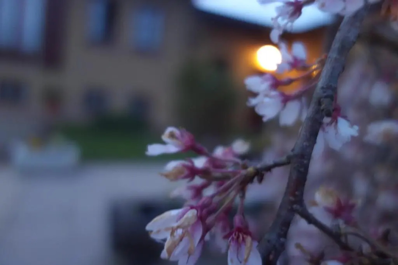 Agriturismo L'Antico Sapore