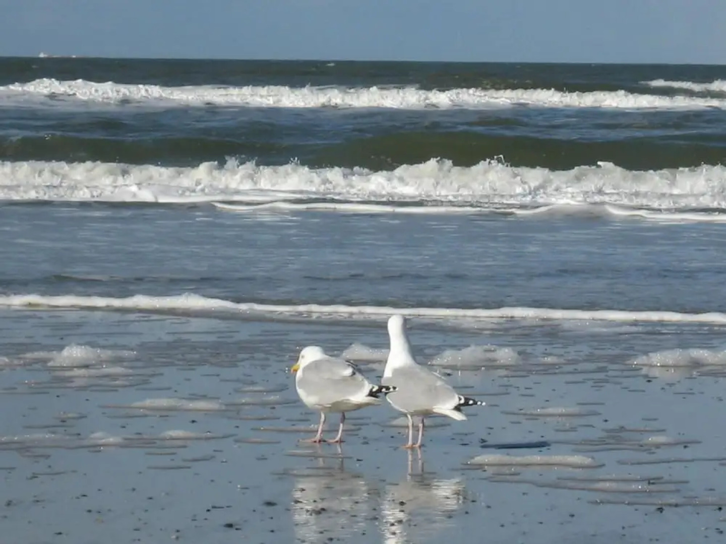 Ringhotel Residenz Wittmund