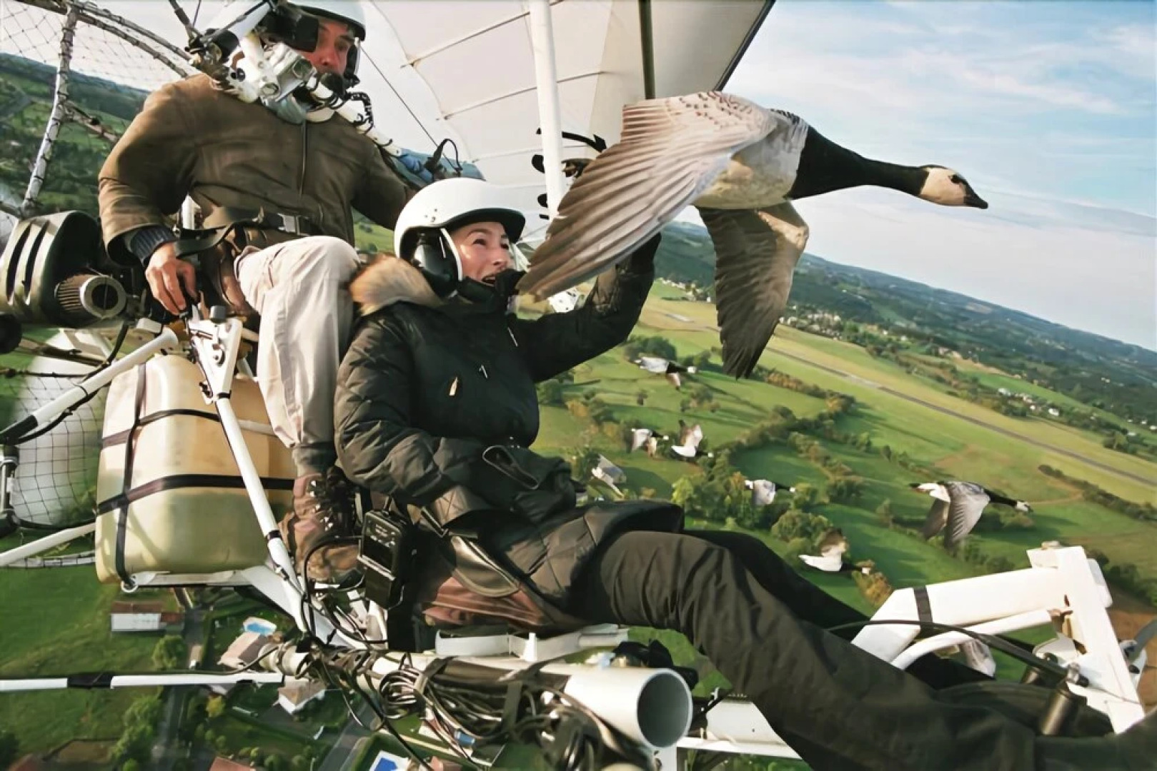 Voler Avec les Oiseaux