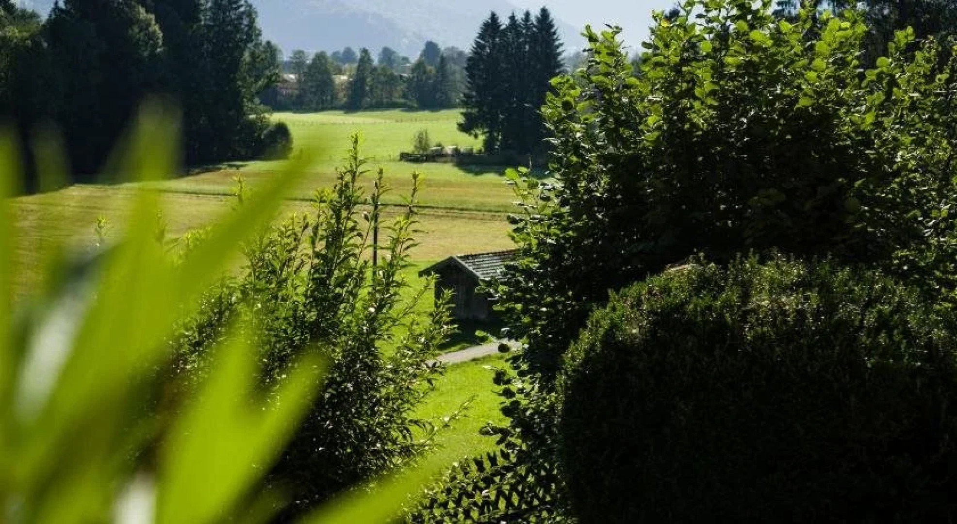 Landhaus Am Bergwald