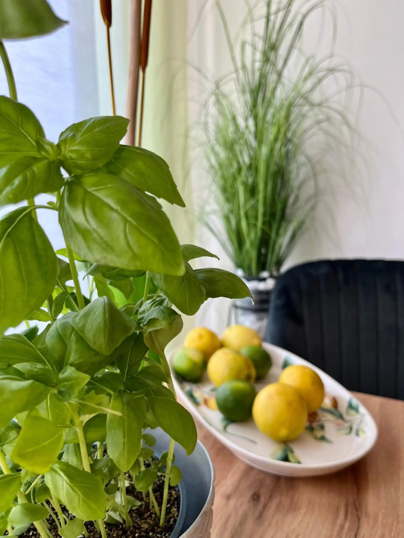 Luxurious city apartment incl garage and terrace