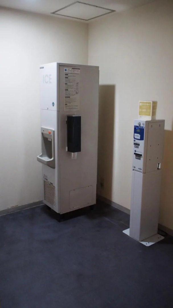 Отель Shibuya Tobu