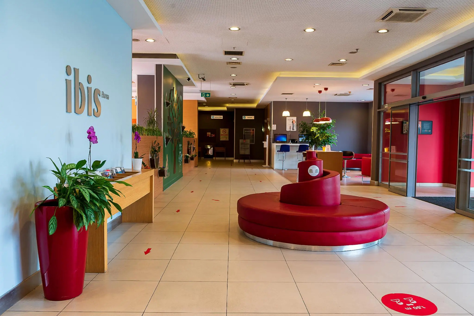 ibis Bursa