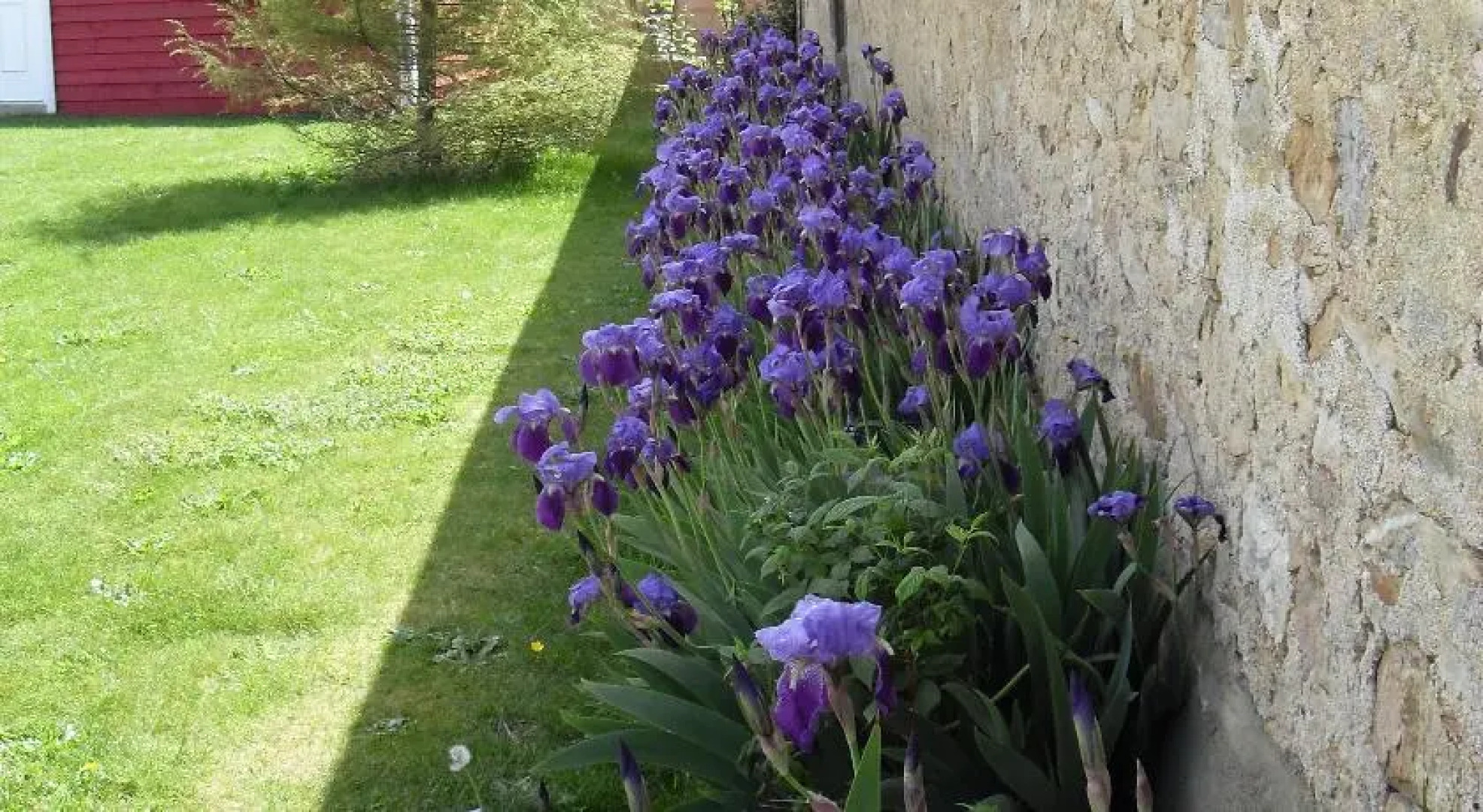 Chambre dhôtes Au Grimartins