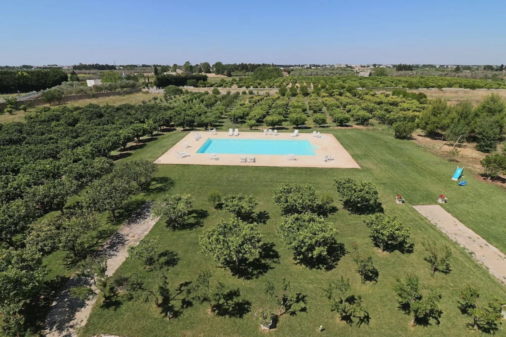 Triple Superior Red Orange