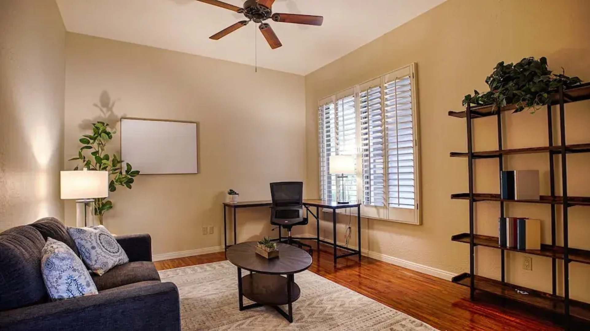 Lynx Chandler/ocotillo