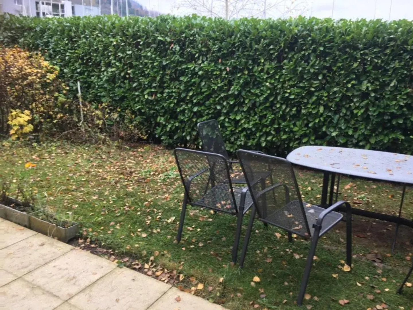 Apartments in Leafy Suburb