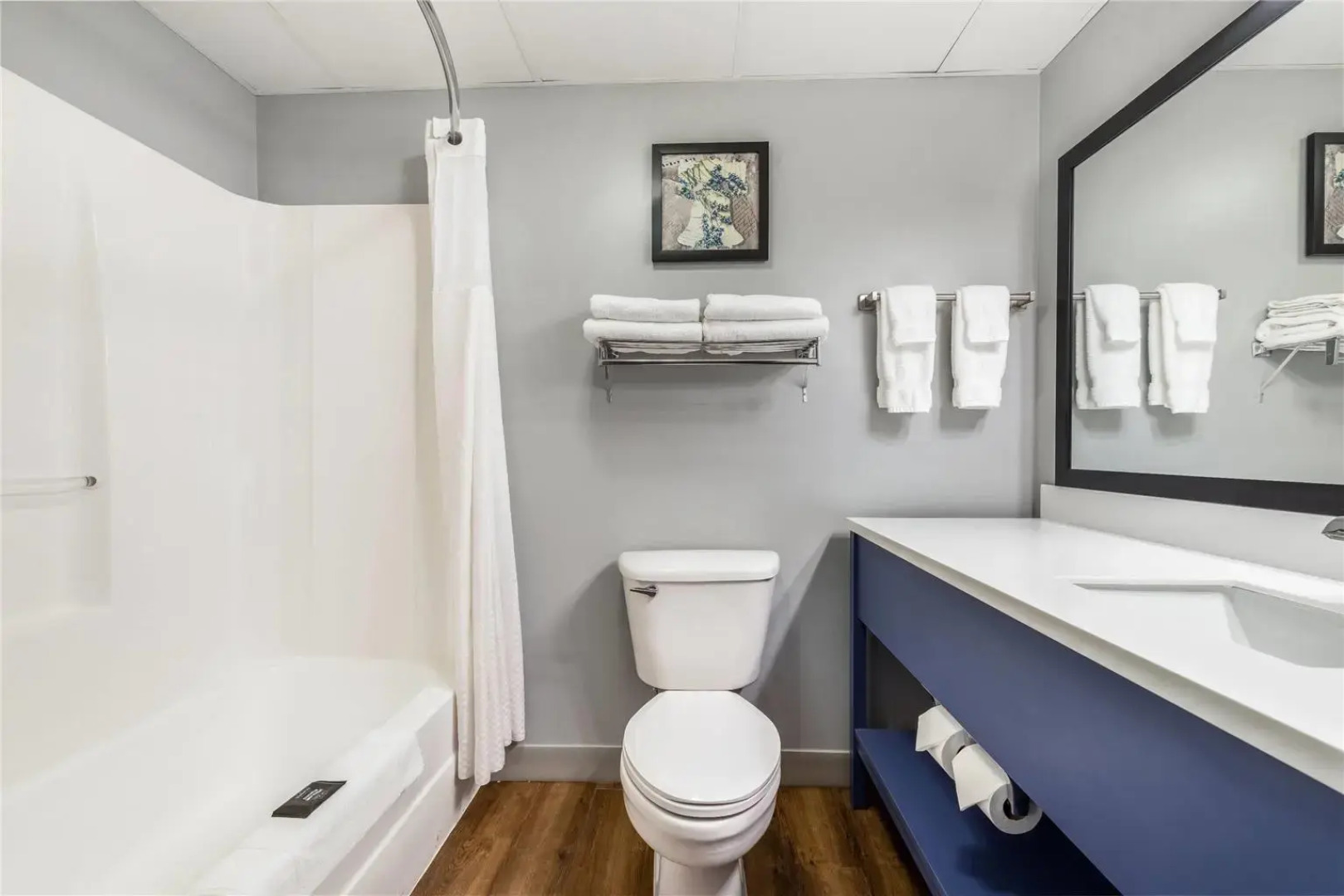 AmericInn by Wyndham Mounds View Minneapolis