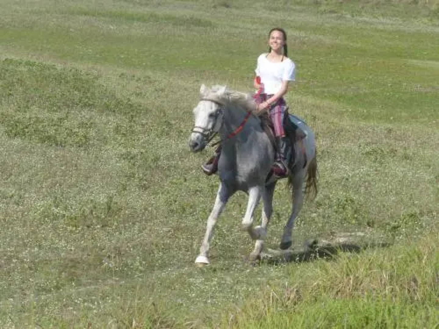 Refugios Parajuru - Chalet la Garagem