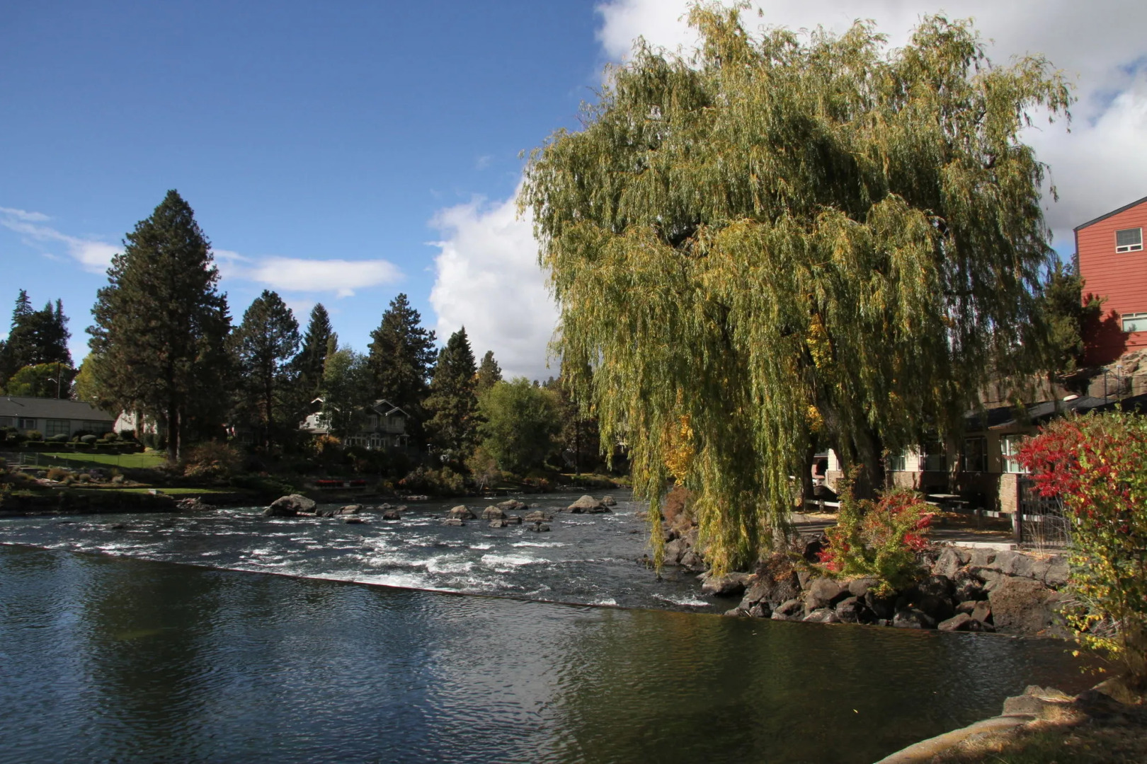 Pioneer Park Rentals