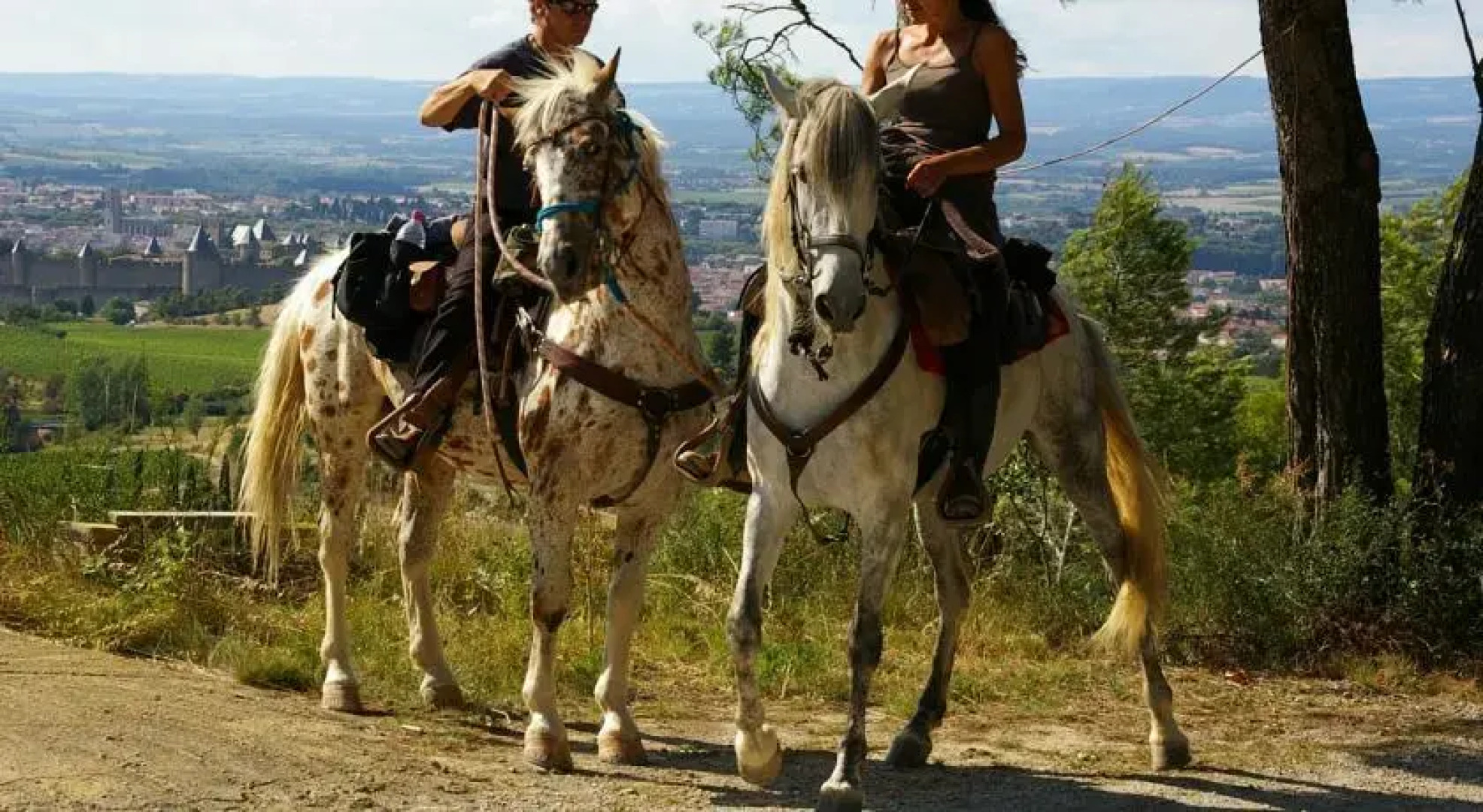 Les Hauts de Sainte Croix Carcassonne-Gites Piscine
