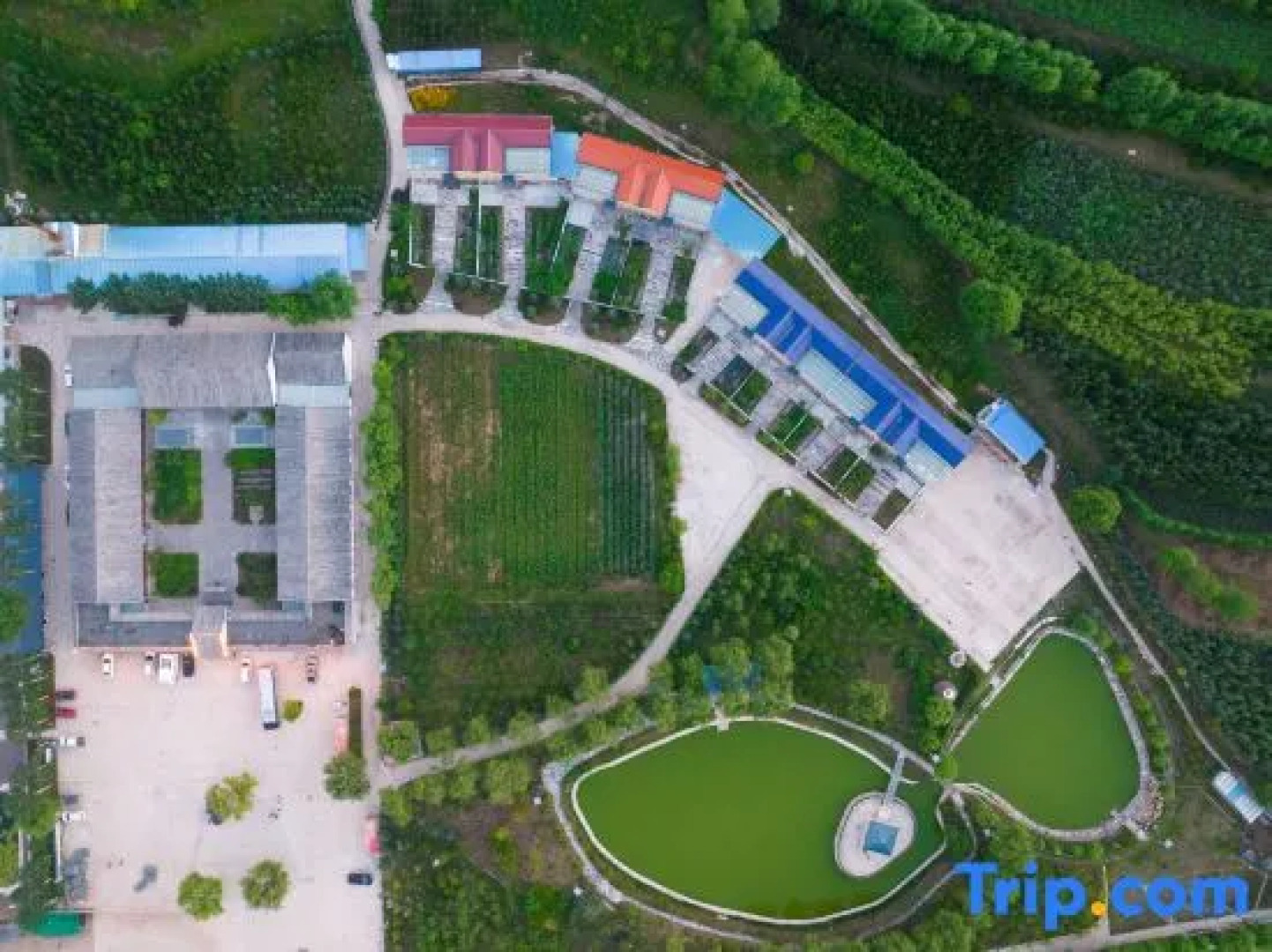 Xinyue Ecological Park