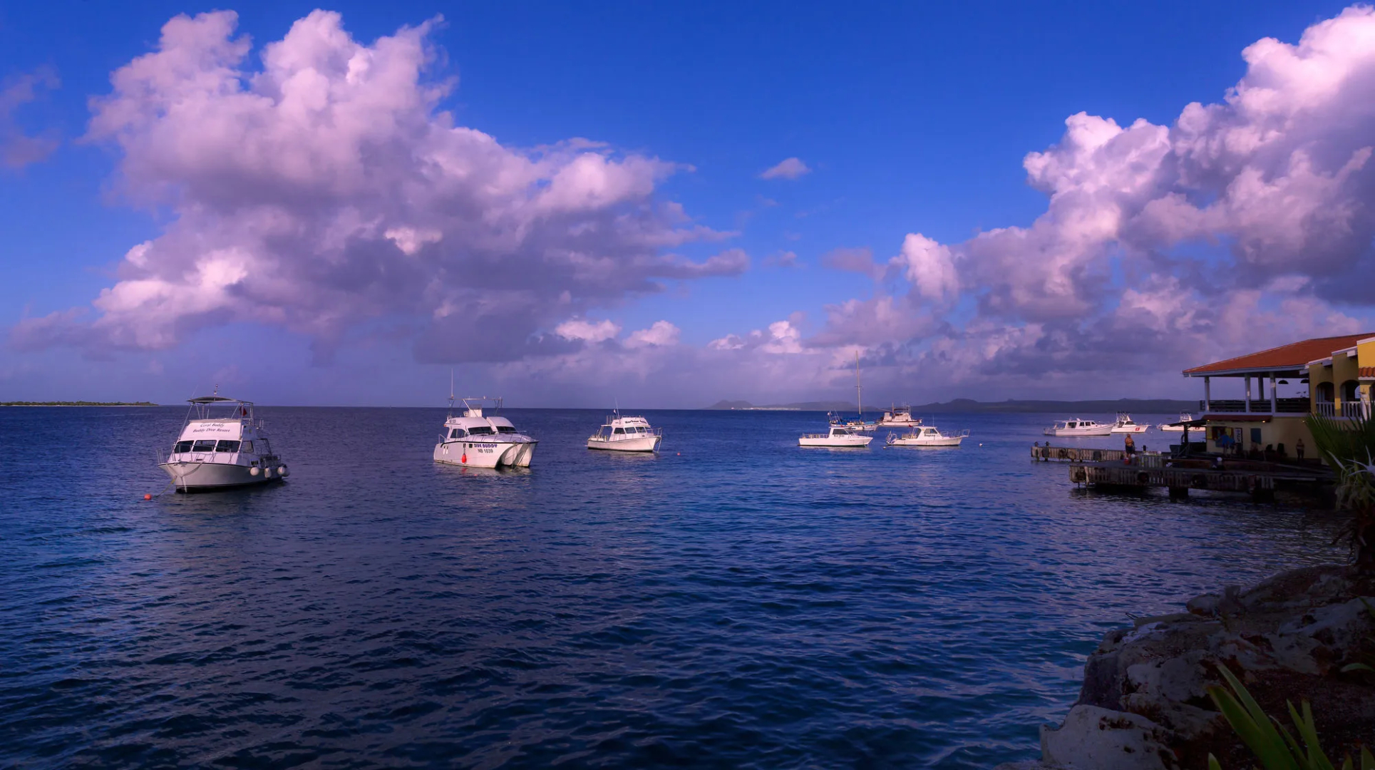 Buddy Dive Resort