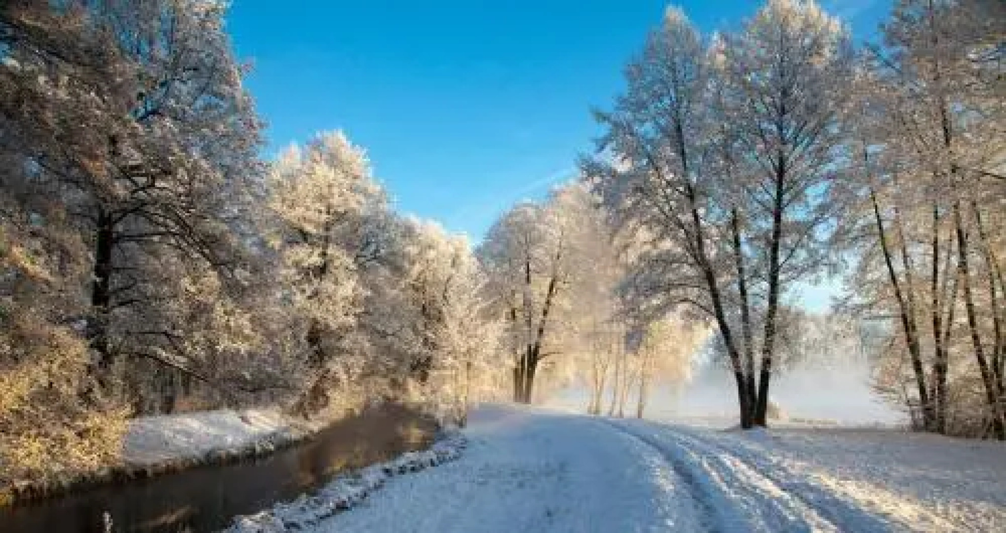 Spreewald Pension Am Spreeschlößchen