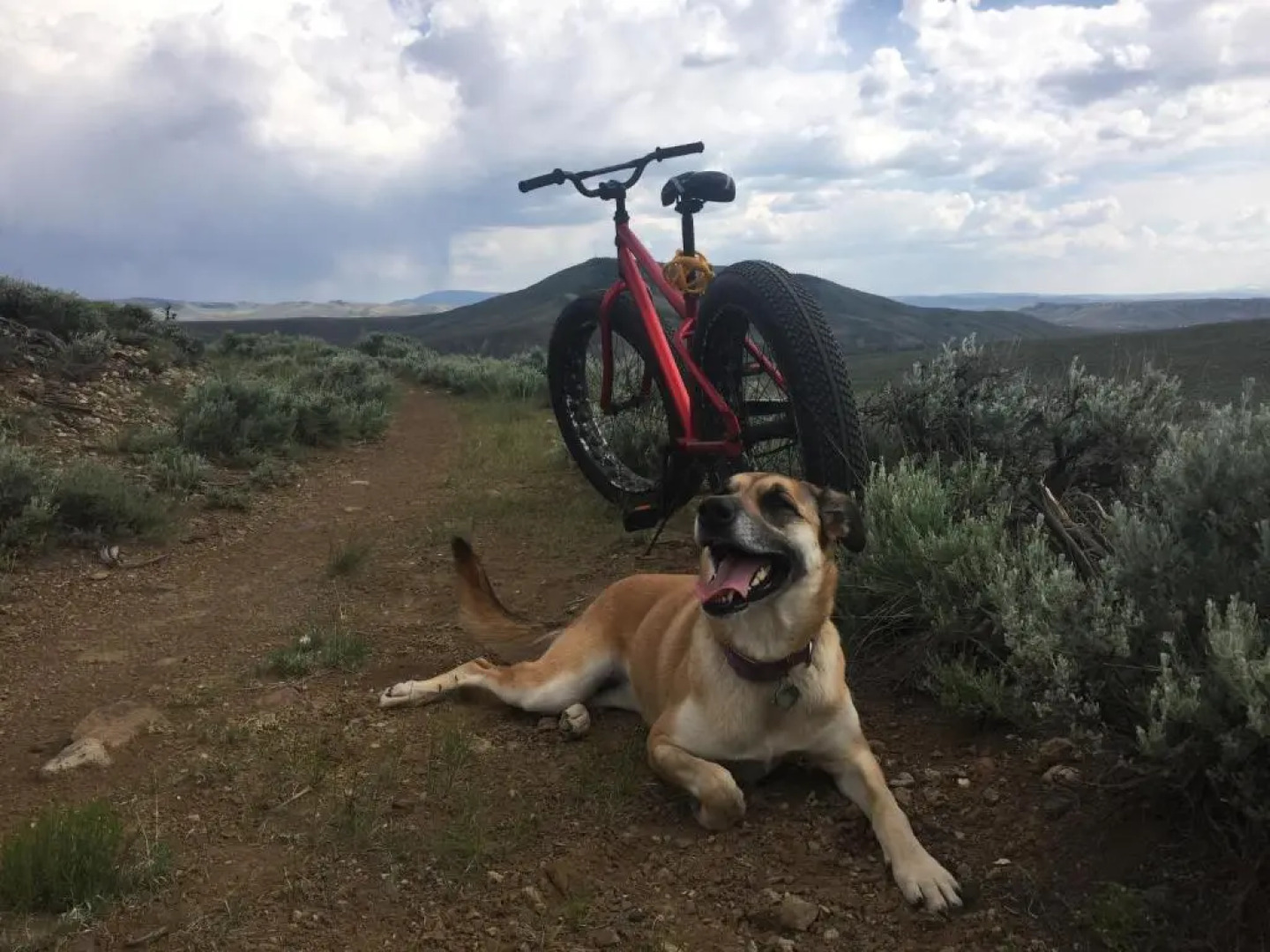 The Wanderlust Hostel