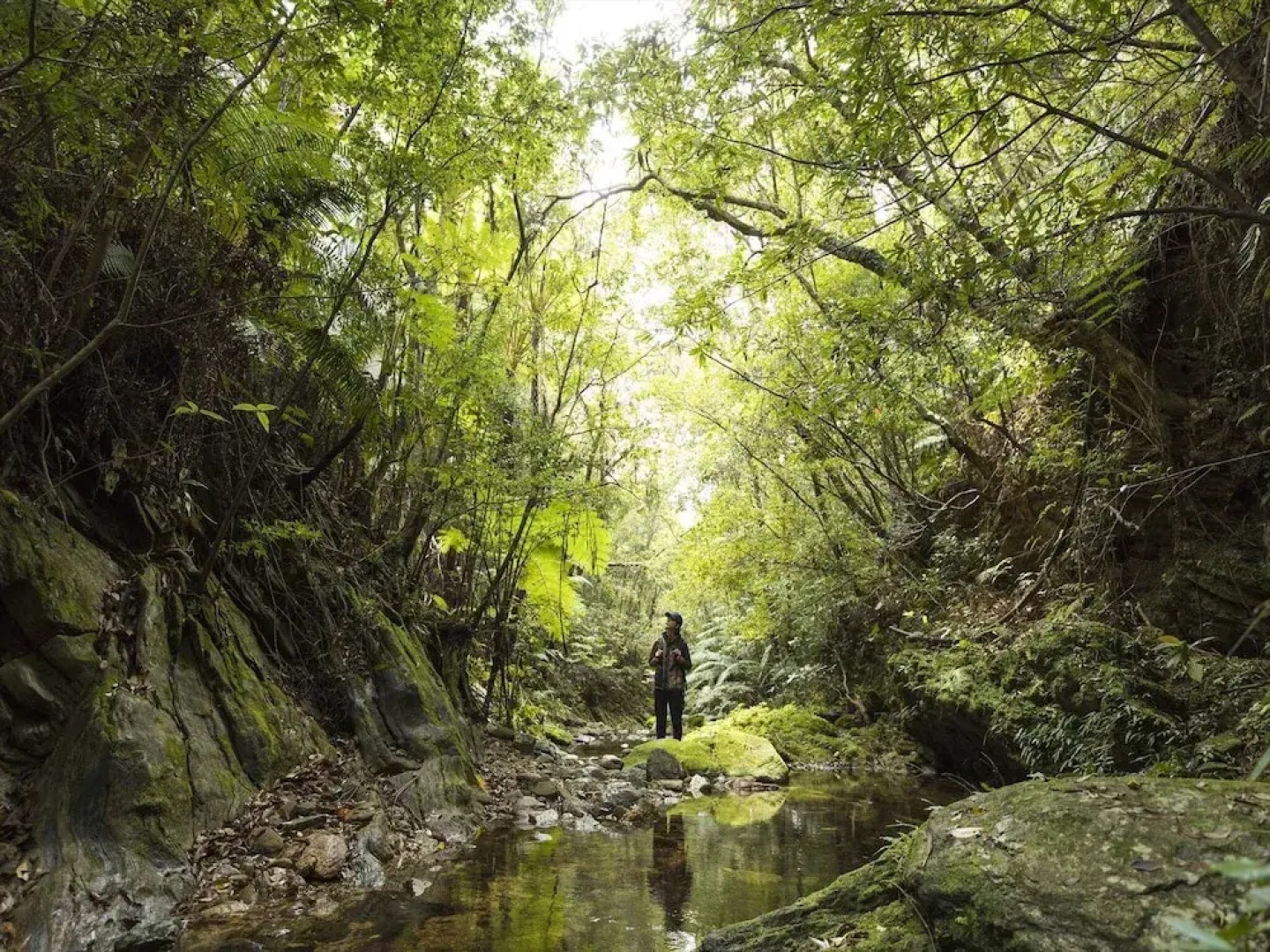 Yambaru Experience Hotel Nunganiku