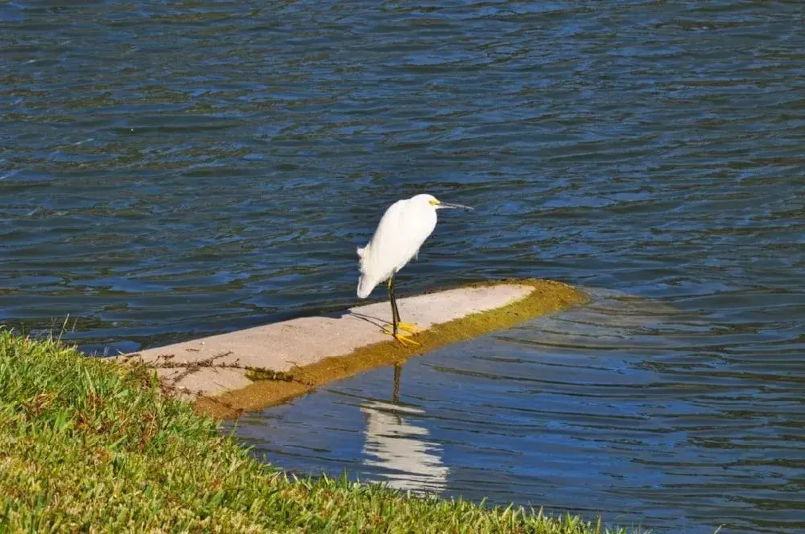 Emerald Island Resort-2676