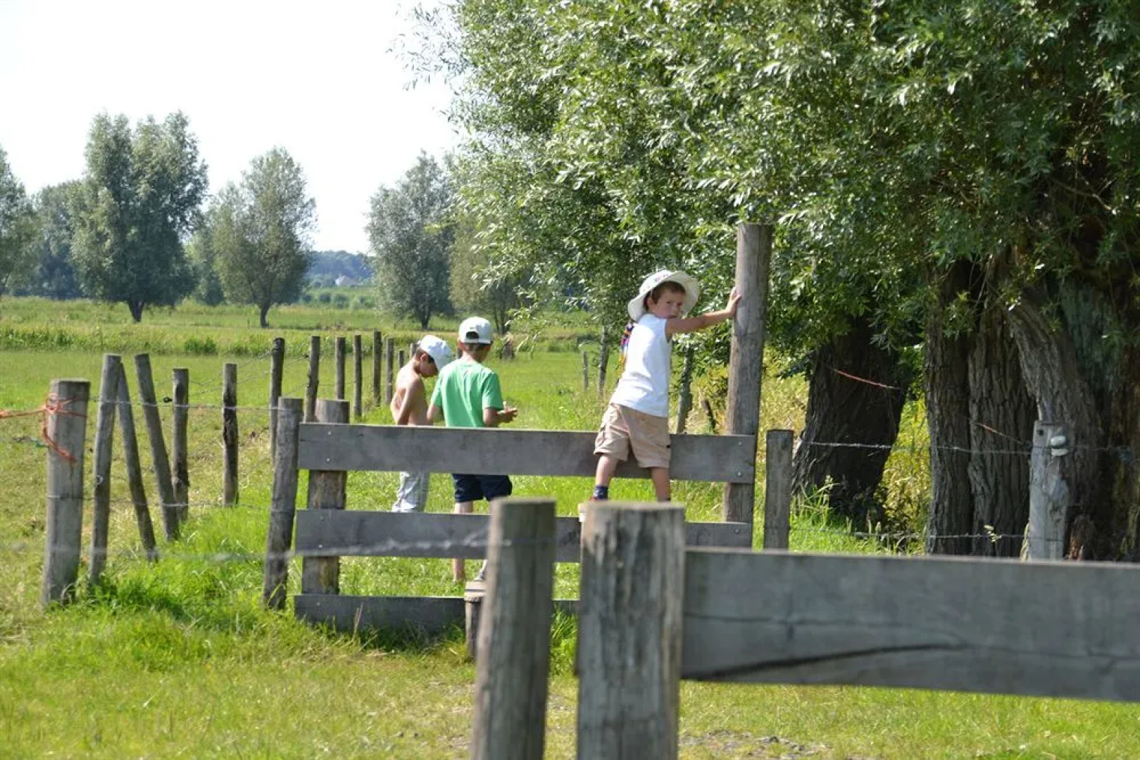 B&B Huis Bij De Lieve