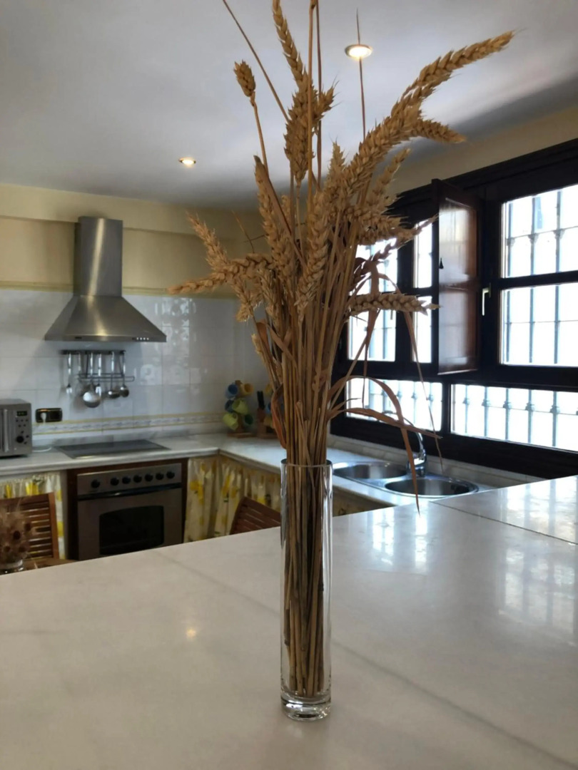 La casa de Tita Elvira 6