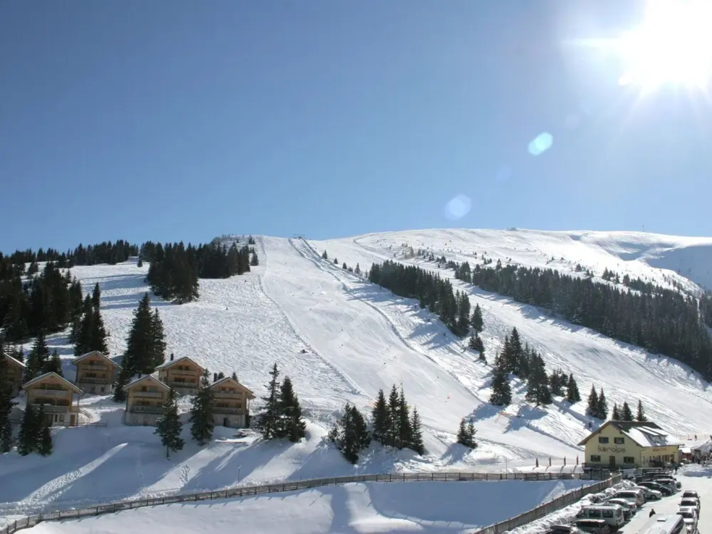 Wooden Chalet in Koralpe Amid the Forest