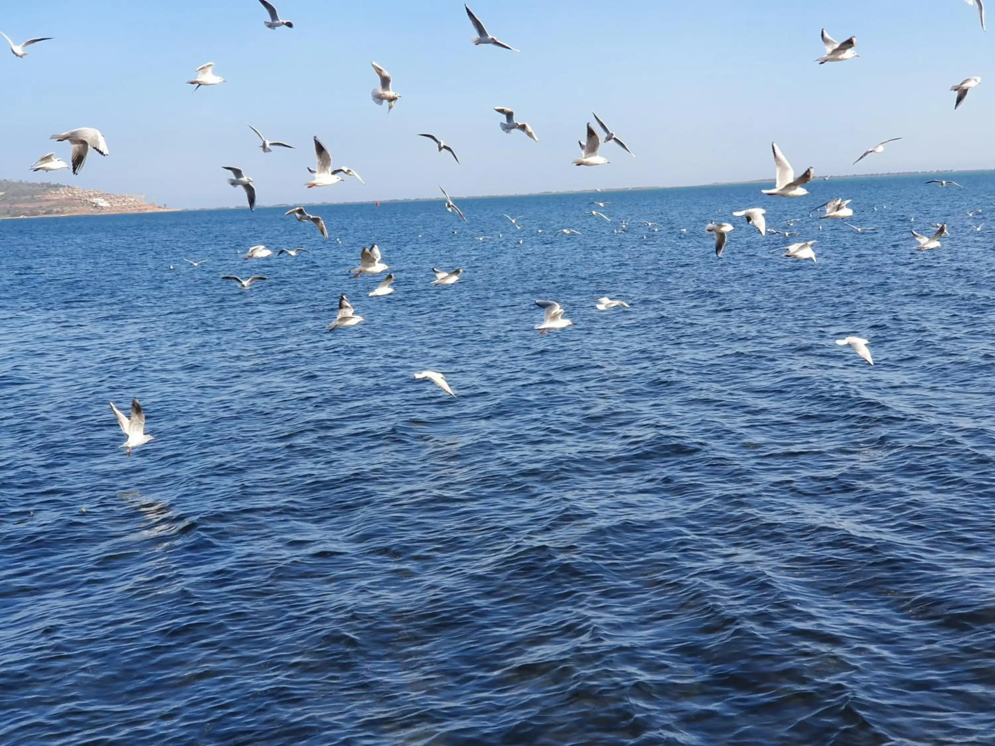 APARTMENT AYOUB -for families only-