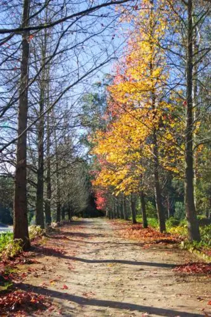 Quinta de Mourães Casa dos Rododendros