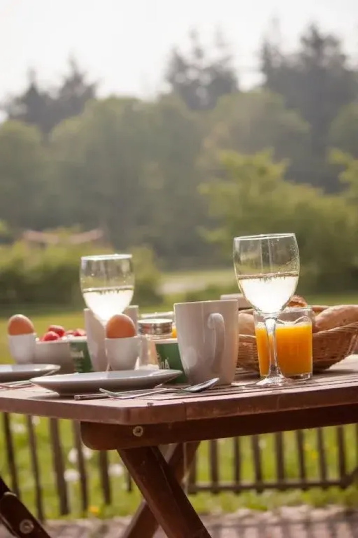 Apartment Hockmannshof