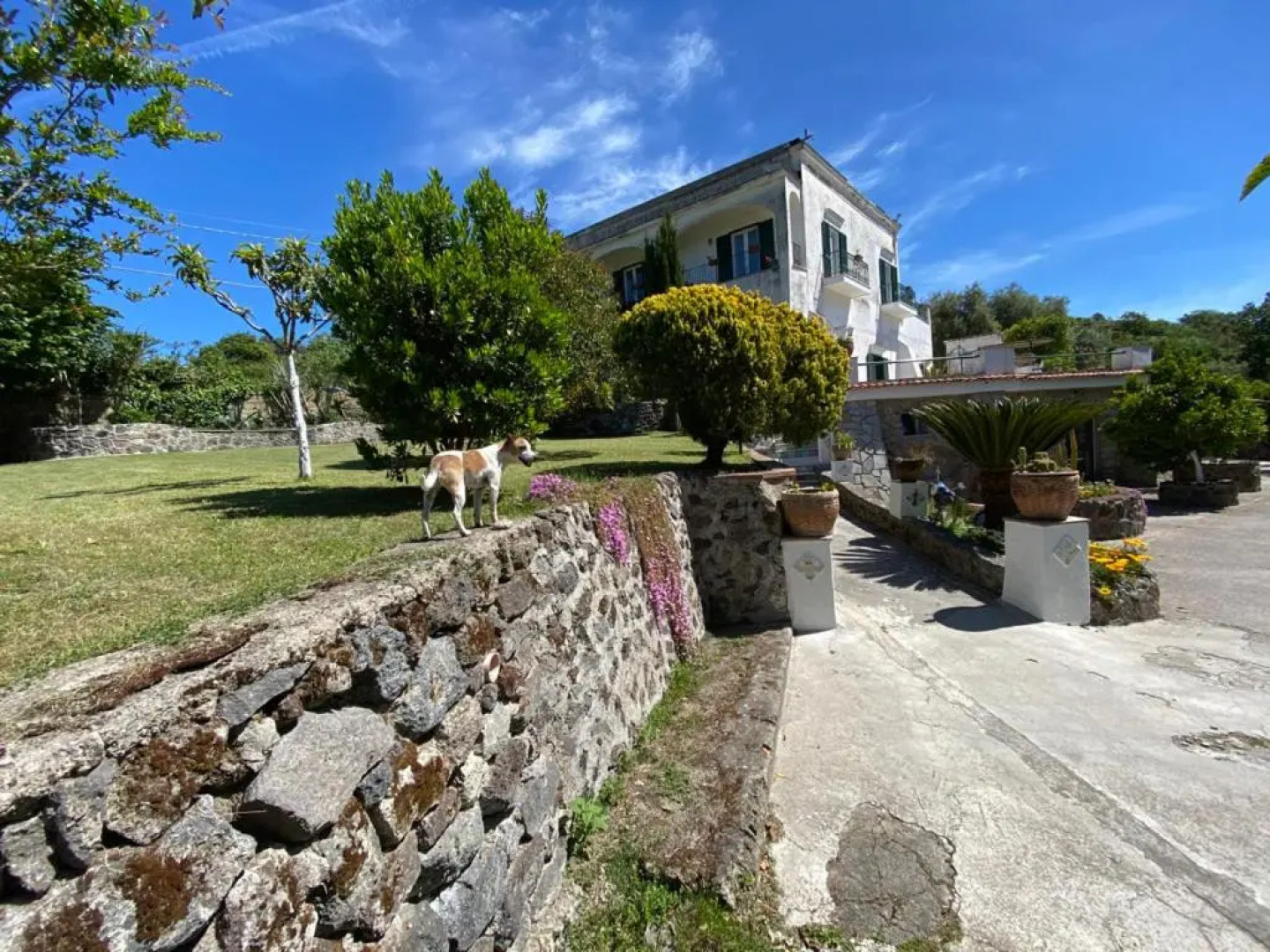 Villa Vincenzo Di Meglio