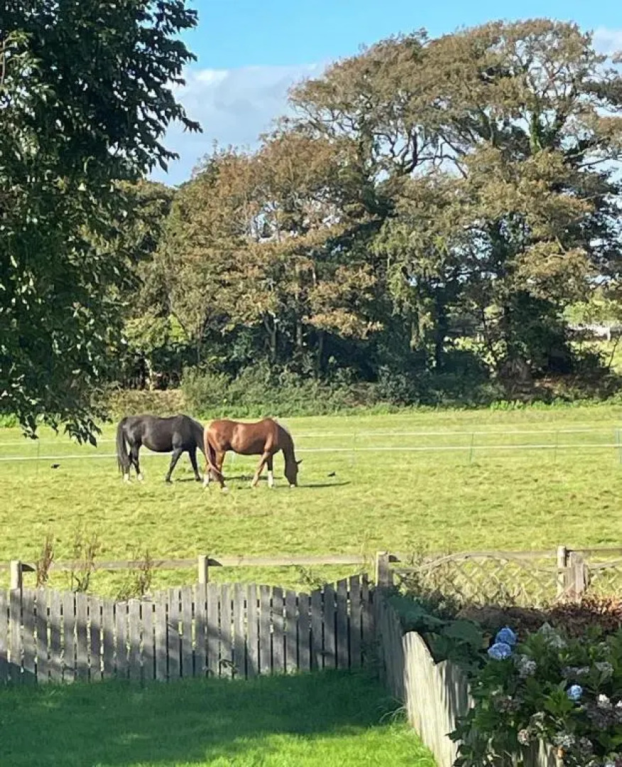 Flosh Cottage Lake District