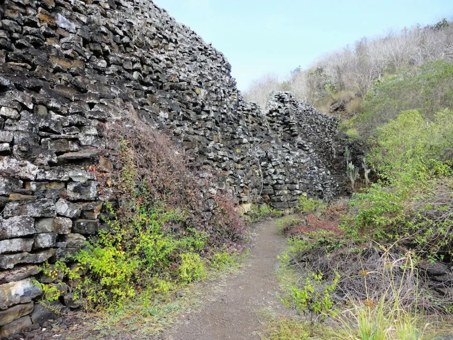 Iguana Crossing Boutique Hotel
