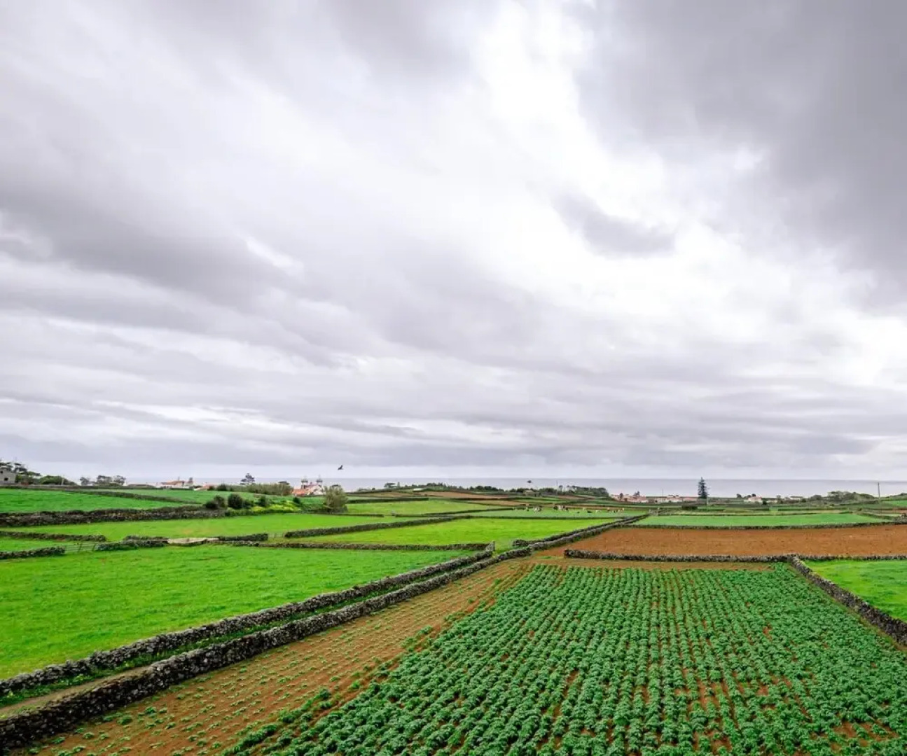 Casa dos Cal os- Anexo 2
