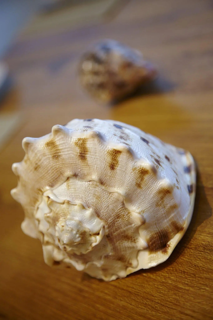 Auberge Discovery Bay Hong Kong