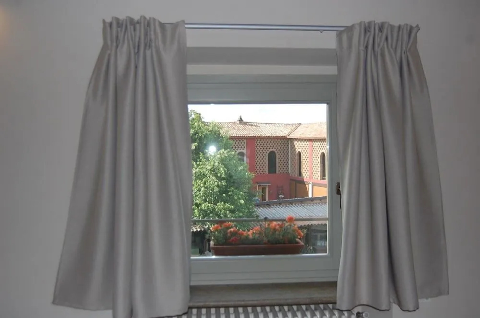 B&B Fraxinus Excelsior