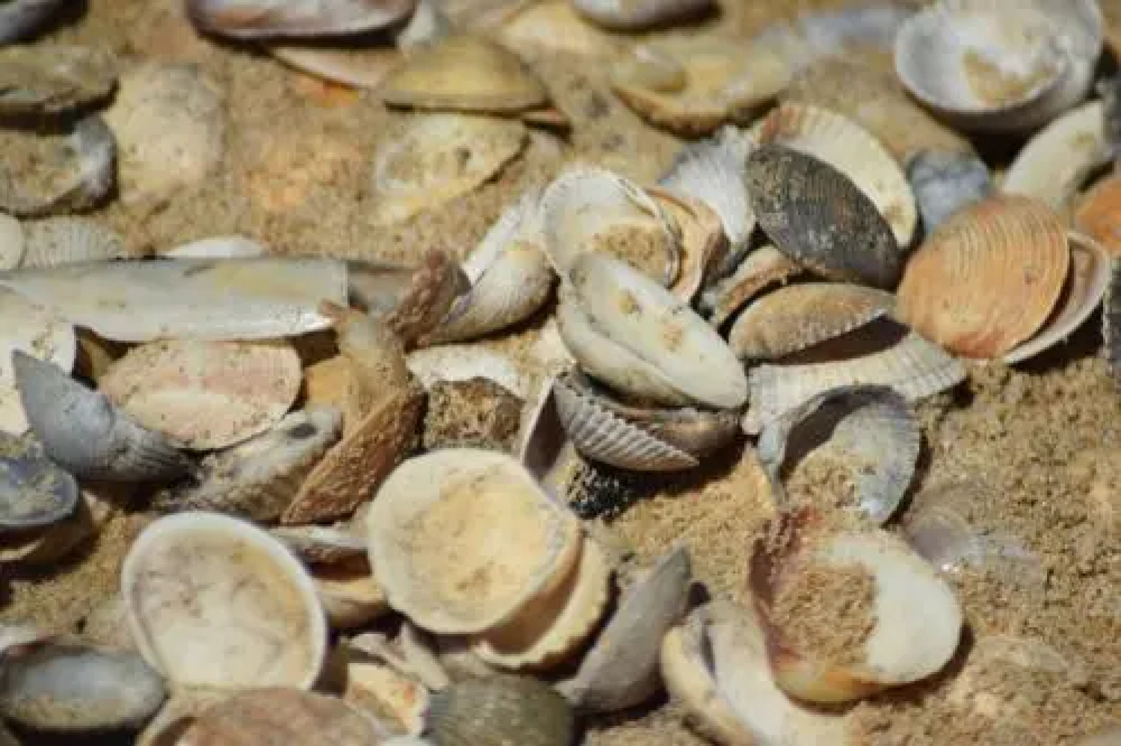 Villa vista mar e piscina