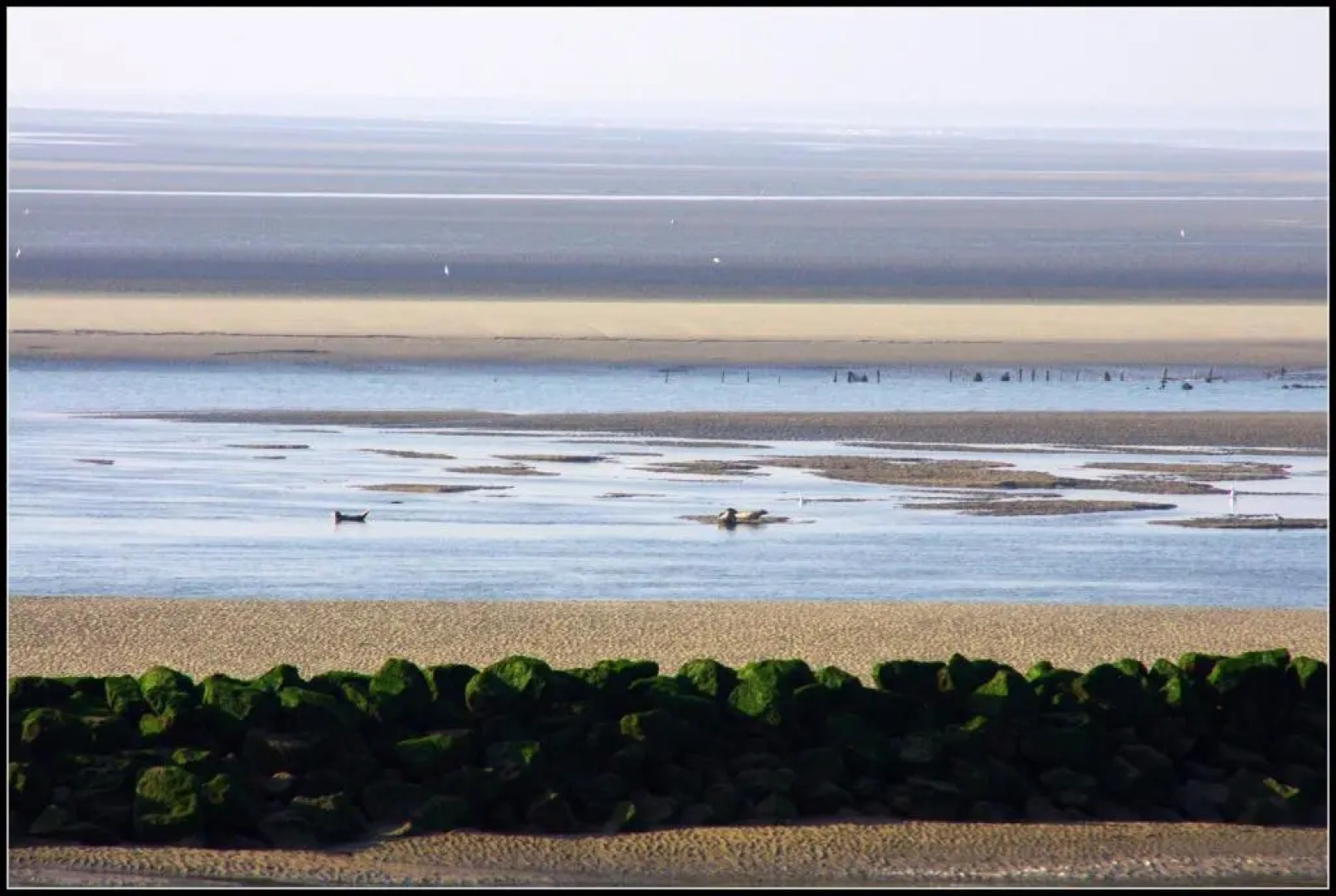 Logis Hôtel & Restaurant Au Gré du Vent